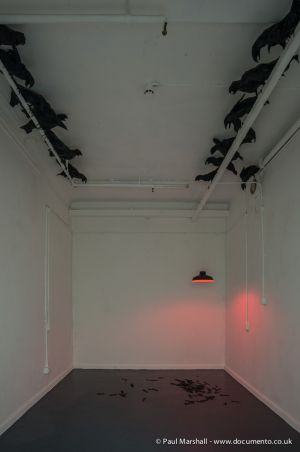 MFA Grad Show 2014 Belfast School Of Art